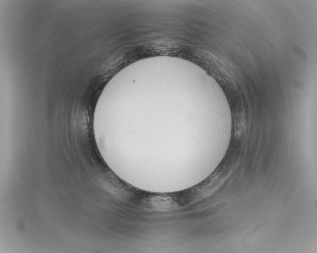 X0000115020279200911161452