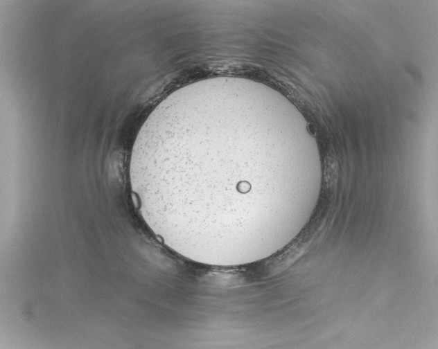 X0000115020280200911161452