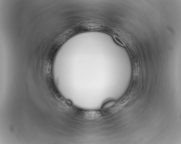 X0000115020281200911161452