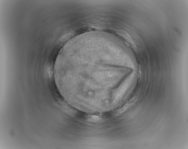 X0000115020285200911161452