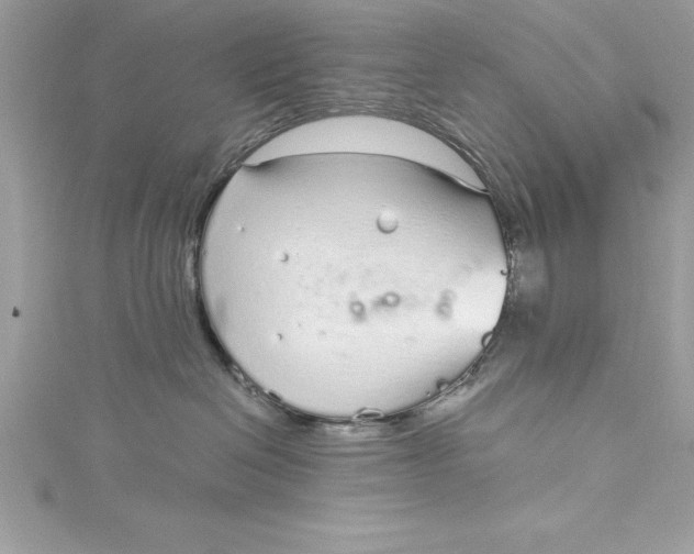 X0000115020286200911161452