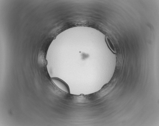 X0000115020287200911161452