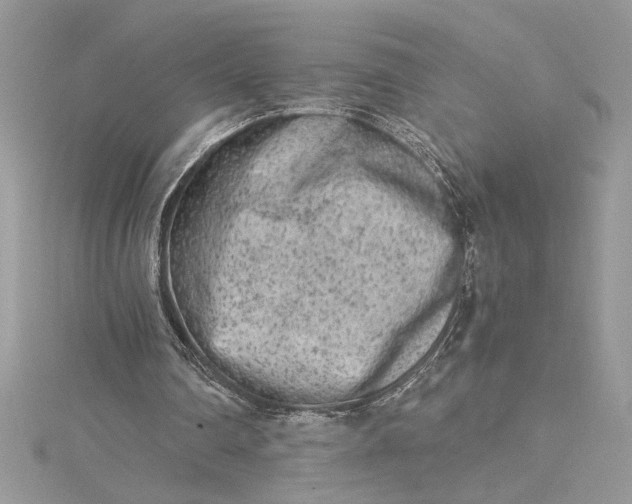 X0000115020290200911161452