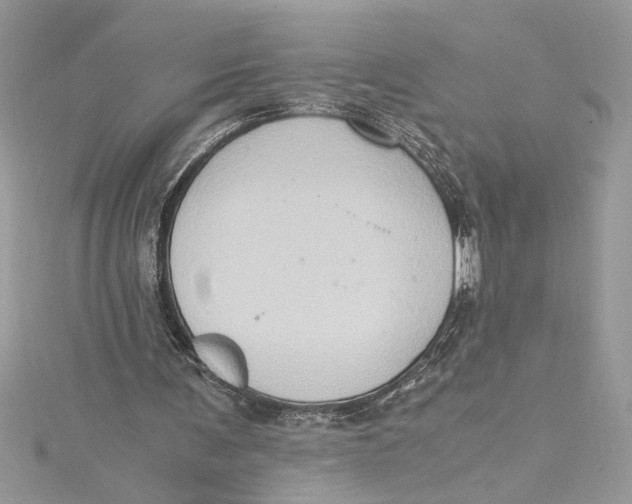 X0000115020291200911161452