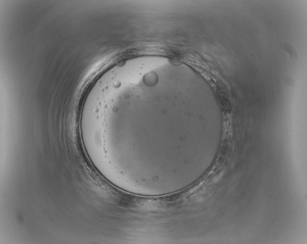 X0000115020293200911161452