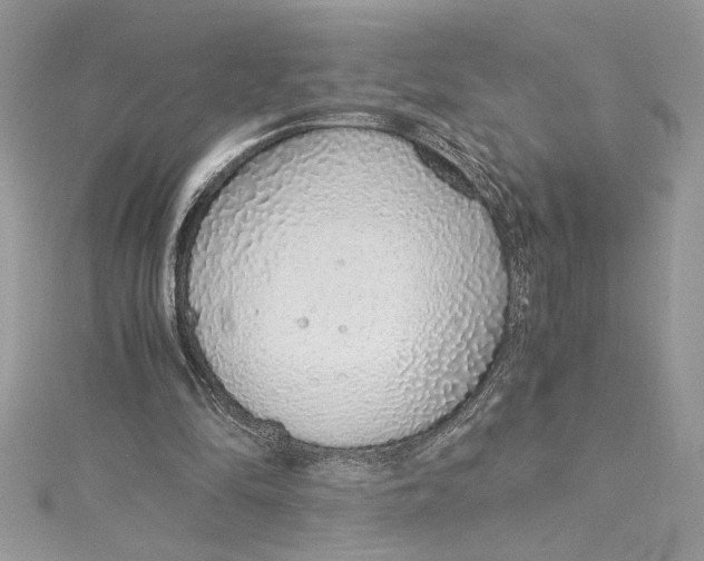 X0000115020294200911161452