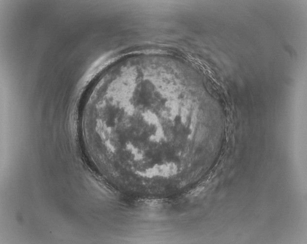 X0000115020295200911161452