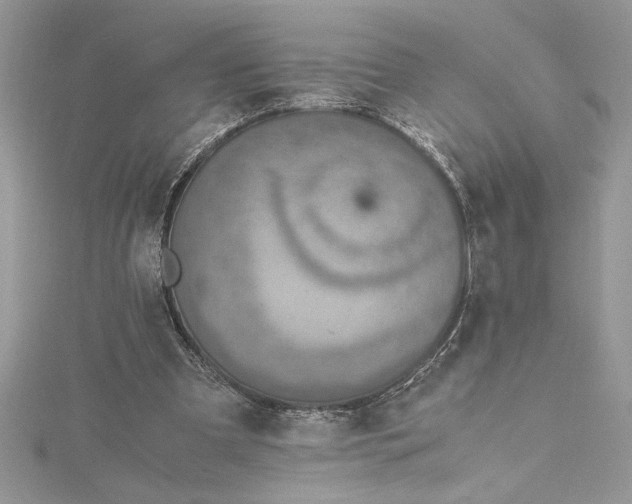 X0000115020297200911161452