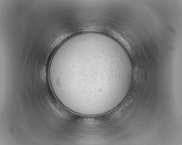 X0000115020298200911161452