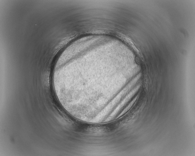 X0000115020299200911161452