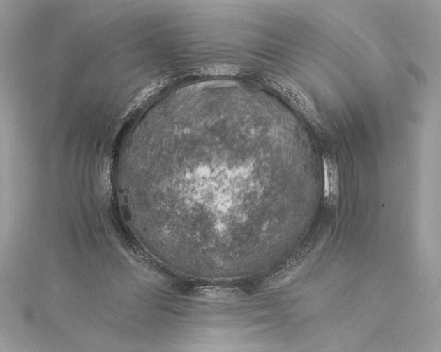 X0000115020300200911161452