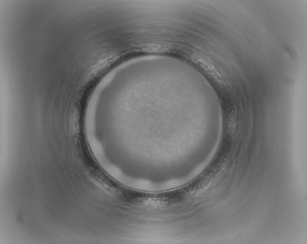 X0000115020303200911161452