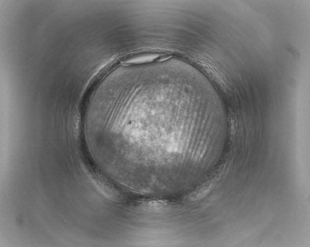 X0000115020304200911161452