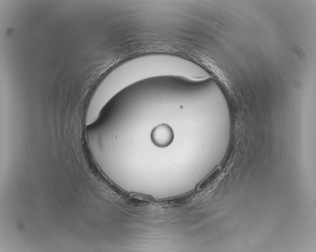 X0000115020305200911161452