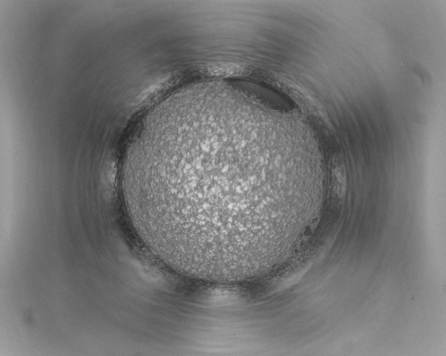 X0000115020308200911161452