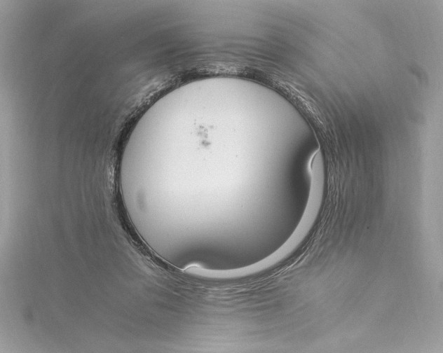 X0000115020309200911161452