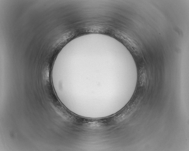 X0000115020310200911161452