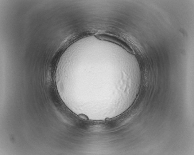 X0000115020312200911161452