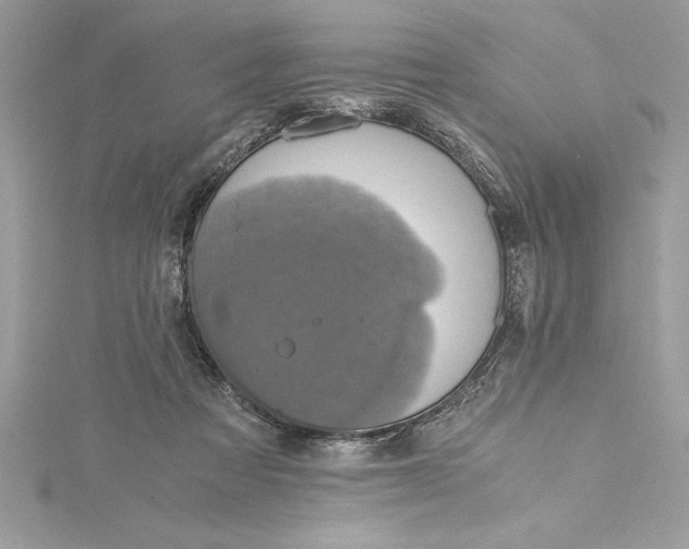 X0000115020313200911161452