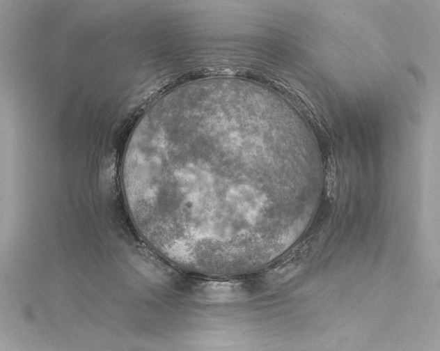 X0000115020314200911161452