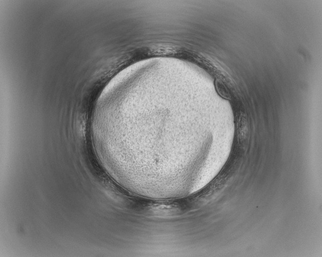 X0000115020315200911161452