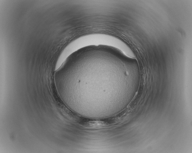 X0000115020316200911161452