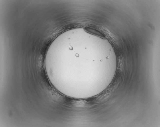 X0000115020318200911161451