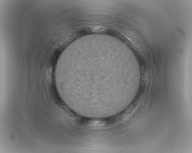 X0000115020319200911161451