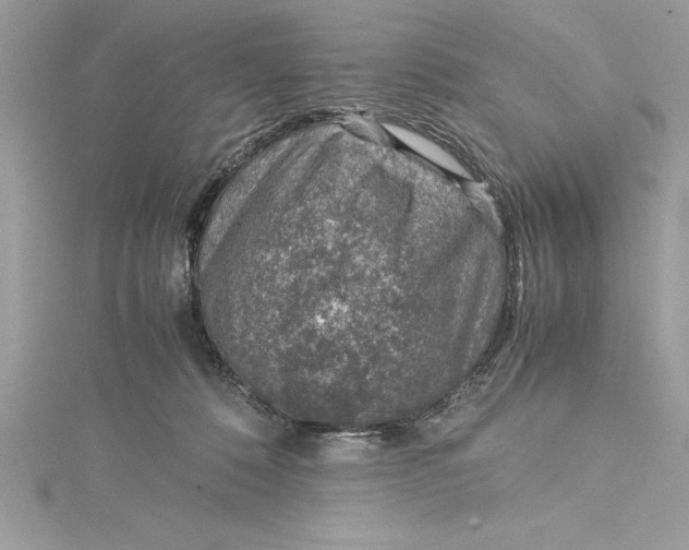 X0000115020320200911161451