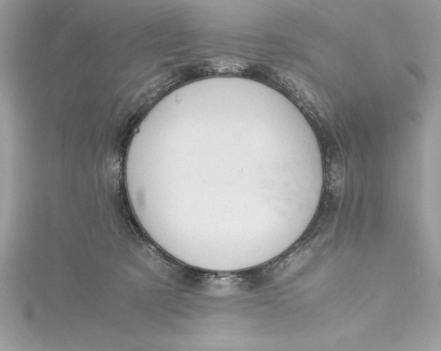 X0000115020321200911161451