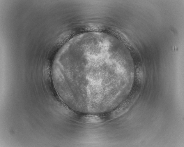 X0000115020322200911161451