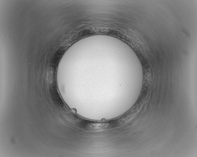 X0000115020323200911161451