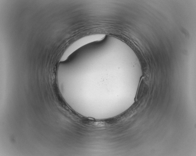 X0000115020324200911161451