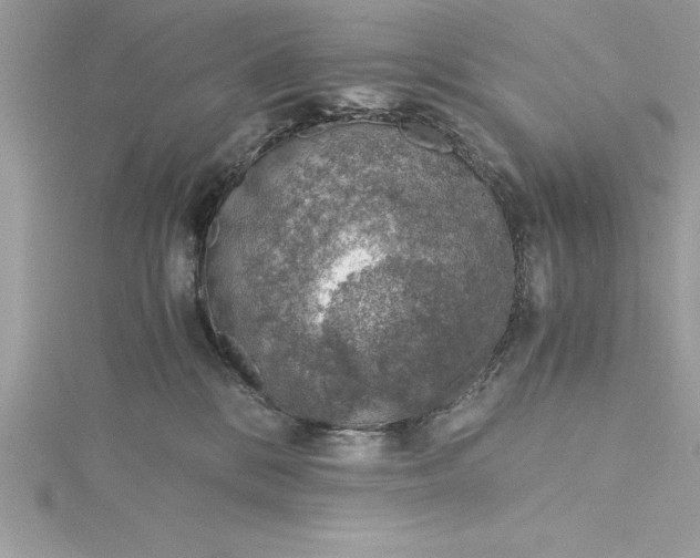 X0000115020328200911161451