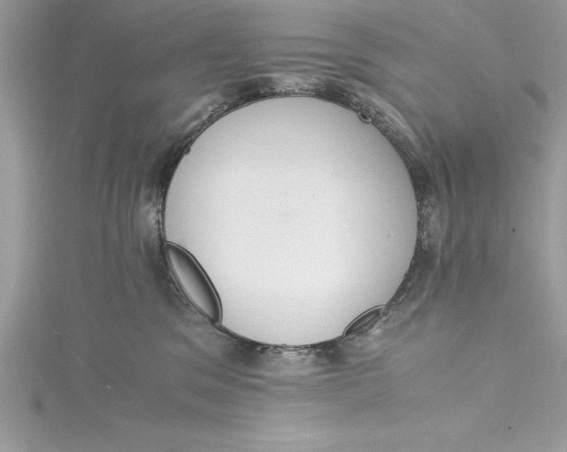 X0000115020329200911161451