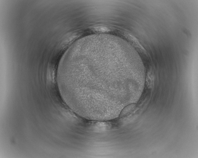 X0000115020330200911161451