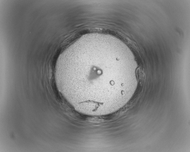 X0000115020331200911161451