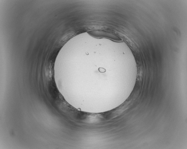 X0000115020334200911161451