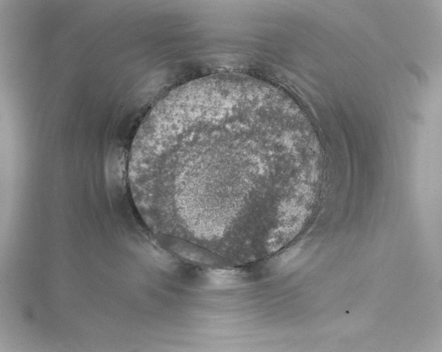 X0000115020336200911161451