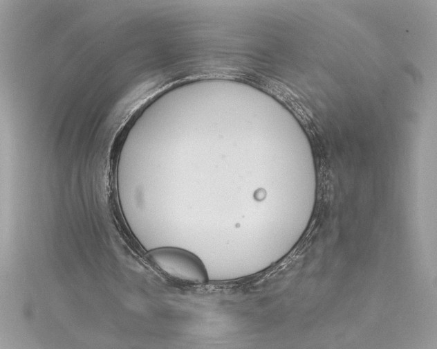 X0000115020338200911161451