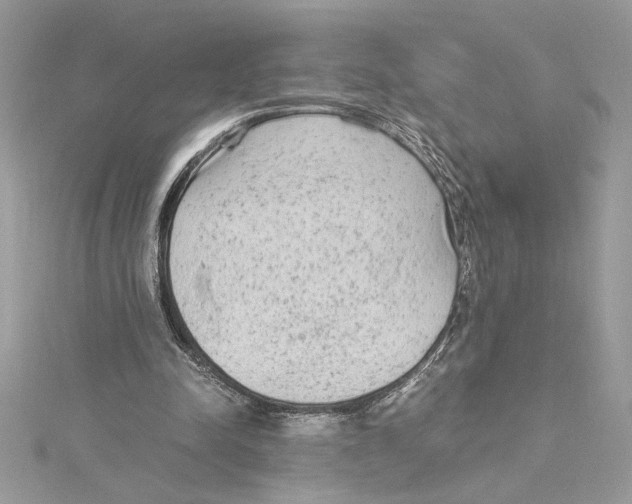 X0000115020342200911161451