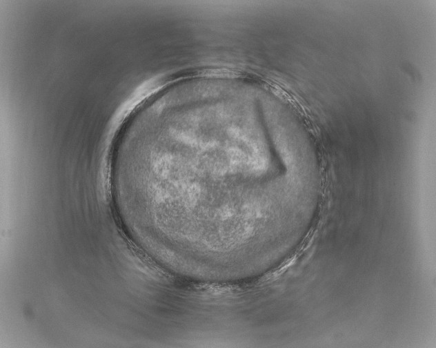 X0000115020343200911161451