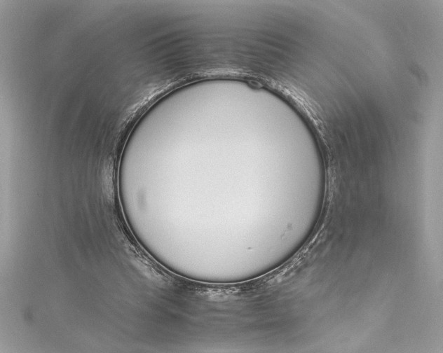 X0000115020345200911161451