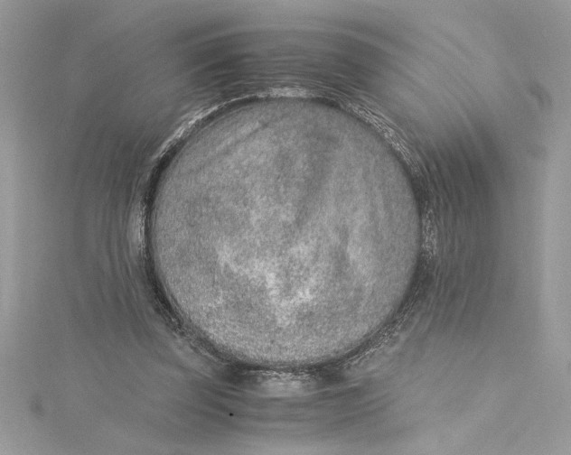 X0000115020347200911161451