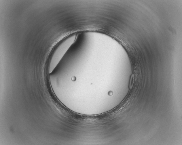 X0000115020350200911161451