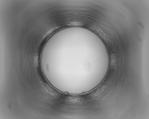 X0000115020351200911161451