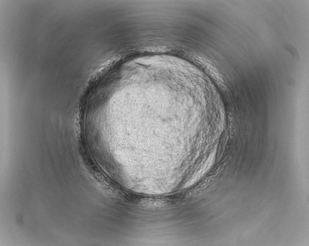 X0000115020354200911161451