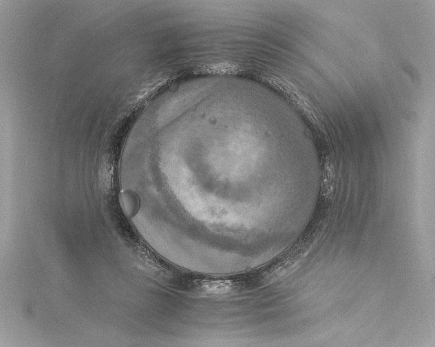 X0000115020355200911161451