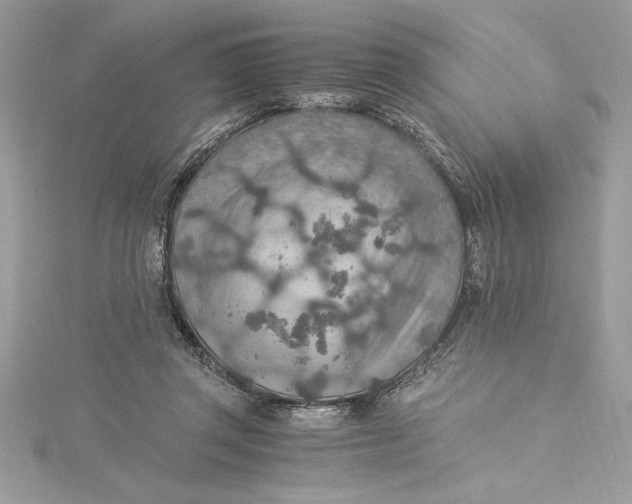 X0000115020357200911161451