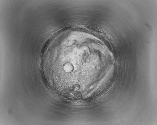 X0000115020359200911161451